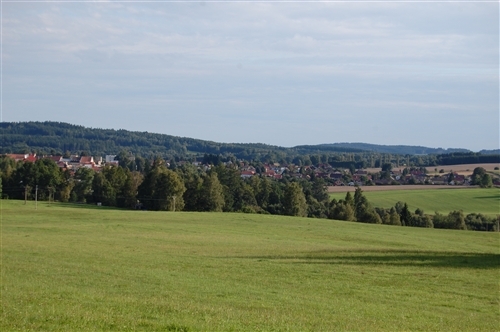 Obrázek v galerii